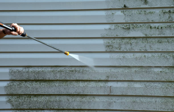 Best Certified Mold Removal  in Coing, AL