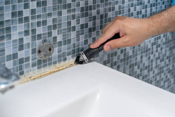 Professional Mold Removal in Coaling, AL
