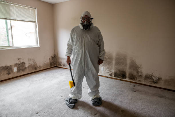 Best Commercial Mold Removal  in Coing, AL