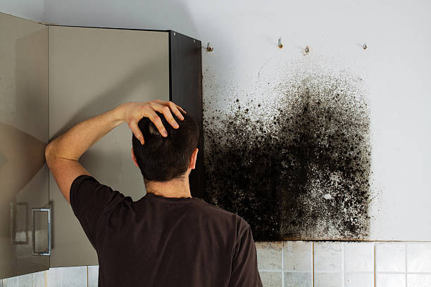 Best Mold Remediation Services  in Coing, AL